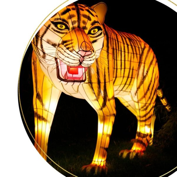 Monatsenergie - Tiger Februar